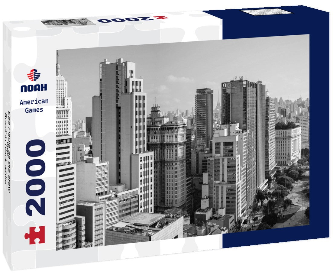 Sao Paulo as the crow flies - Brazil 2000pc PuzzleBlack and White