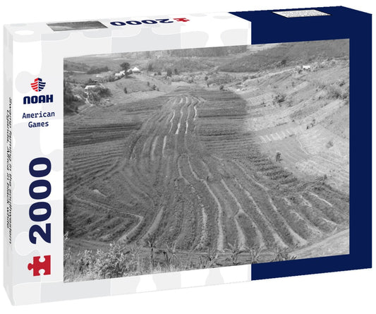 Noah Jigsaw Puzzle Swamp farming in the southwestern Uganda, Africa in black white 2000 pieces