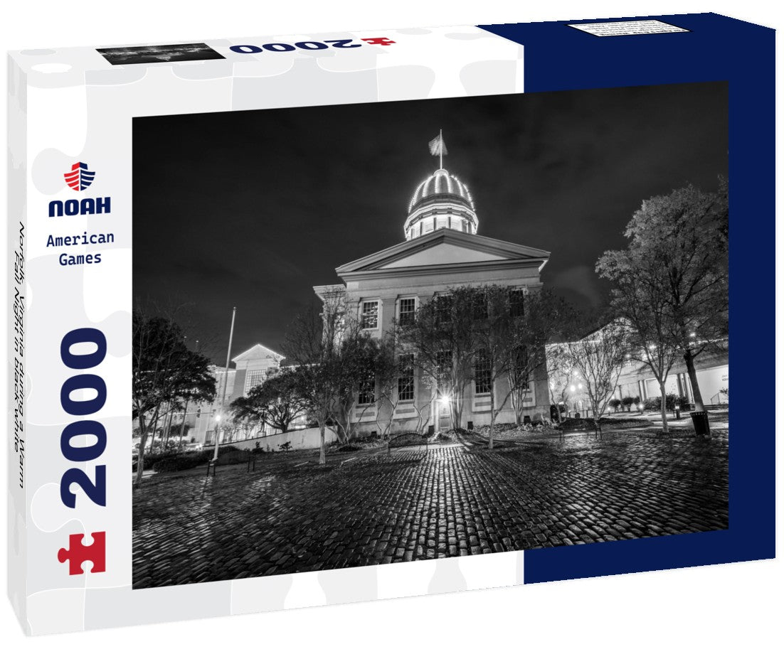Norfolk, Virginia during a Warm Fall Night 2000pc PuzzleBlack and White