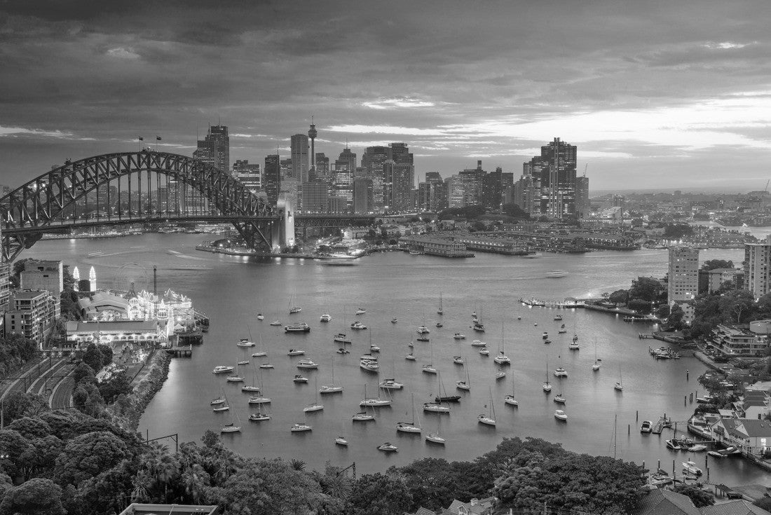 Noah Jigsaw Puzzle Sydney. Cityscape image of Sydney, Australia with Harbour Bridge and Sydney skyline during sunset in black white 2000 pieces