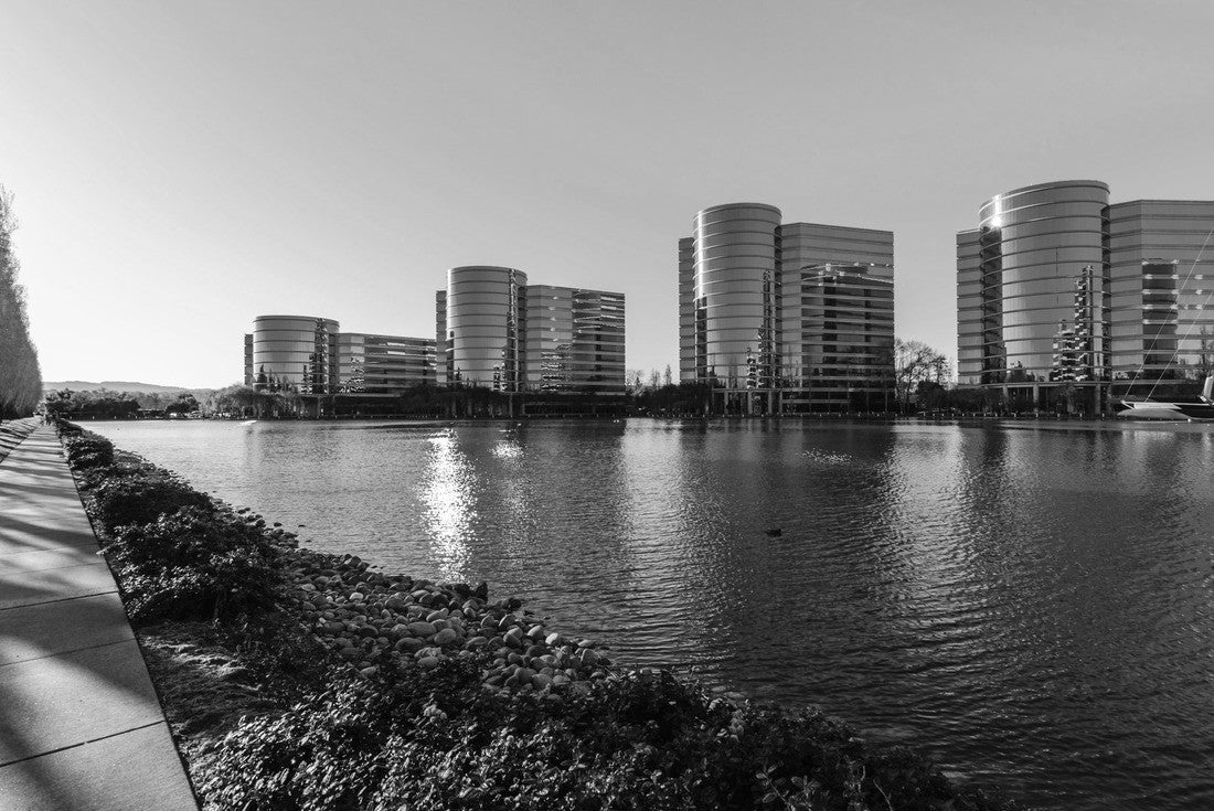 Noah Jigsaw Puzzle Modern corporate architecture. Silicon Valley, Redwood City, California, United States in black white 2000 pieces