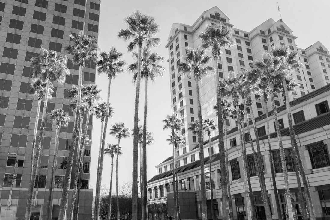 Noah Jigsaw Puzzle Urban landscape in downtown San José, Silicon Valley, California in black white 2000 pieces