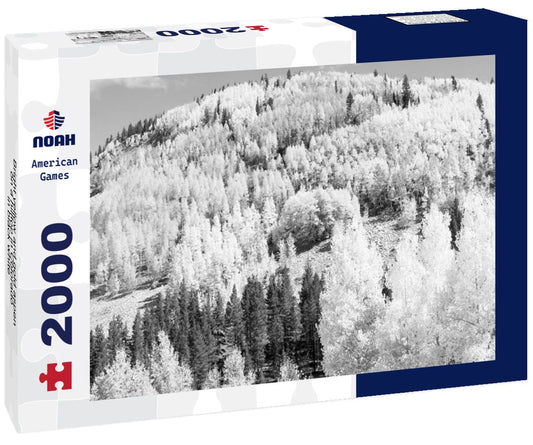 Noah Jigsaw Puzzle Bright yellow and gold aspen on a hilltop in Colorado in black white 2000 pieces