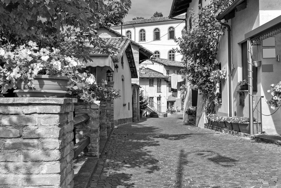 Narrow, stone street and typical houses decorated with flowers in the city of Barolo, Piedmont, northern Italy 2000pc PuzzleBlack and White