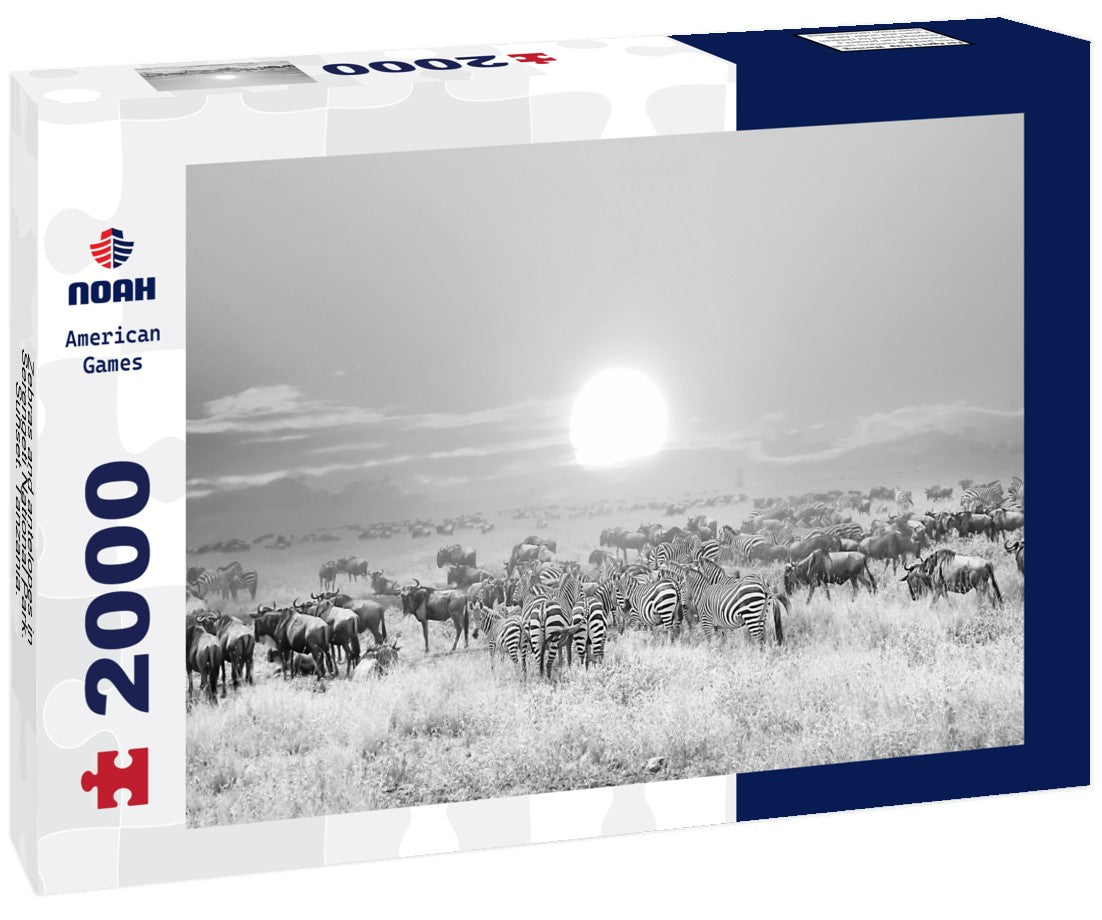 Noah Jigsaw Puzzle Zebras and antelopes in Serengeti National Park. Sunset. Tanzania. Africa in black white 2000 pieces