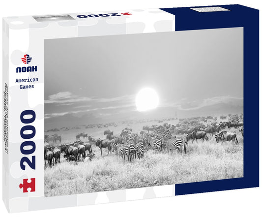 Noah Jigsaw Puzzle Zebras and antelopes in Serengeti National Park. Sunset. Tanzania. Africa in black white 2000 pieces