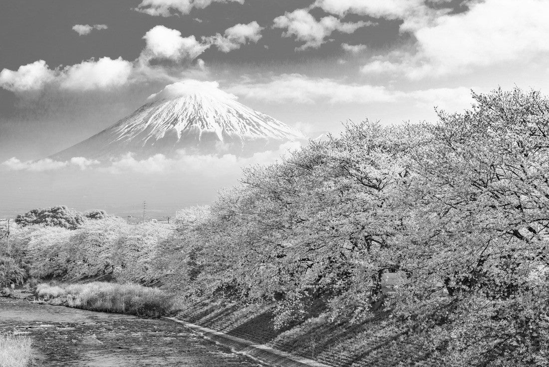 Mt. Fuji, Japan and river in Spring 2000pc PuzzleBlack and White