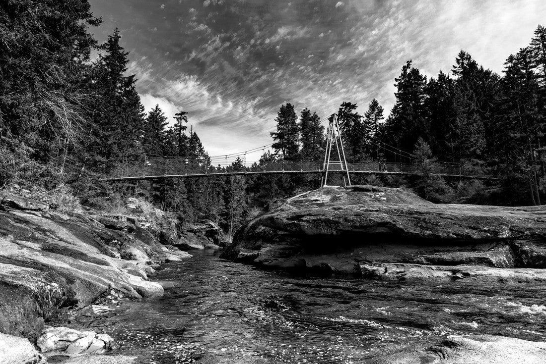 Noah Jigsaw Puzzle Top of suspension bridge on English River at Beautiful Day, Parksville Canada in black white 2000 pieces