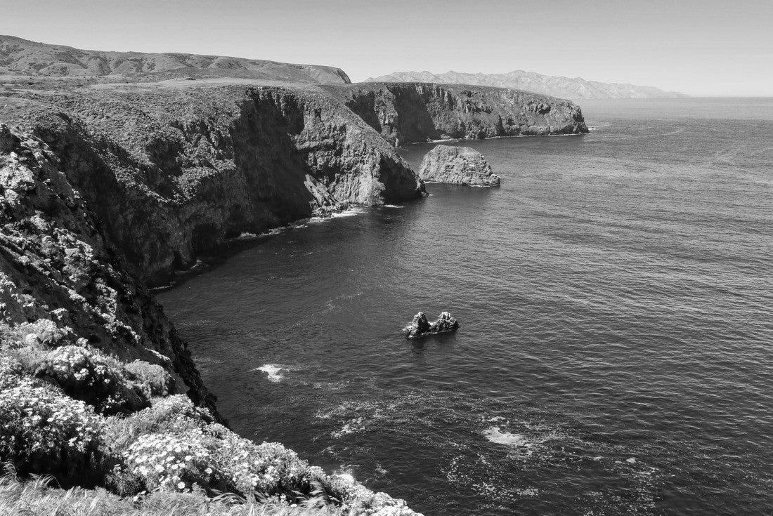 Noah Jigsaw Puzzle Coast of Santa Cruz Island, Channel Islands National Park in black white 2000 pieces