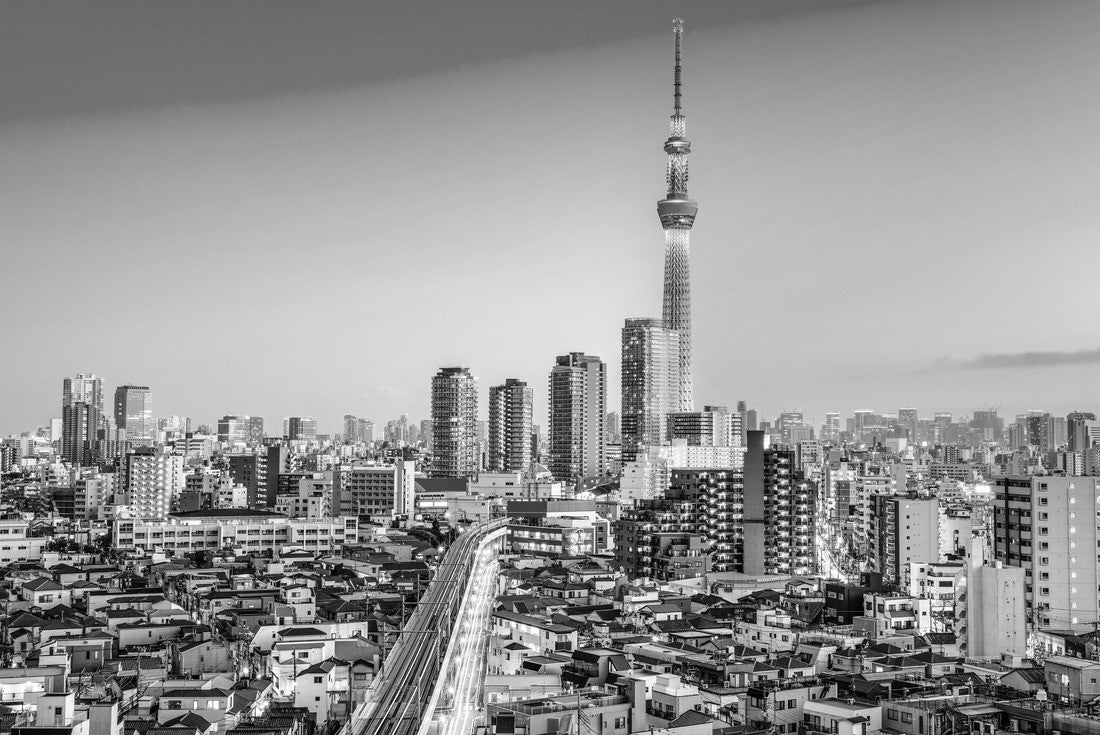 Noah Jigsaw Puzzle Tokyo, Japan Sumida skyline at dusk in black white 2000 pieces