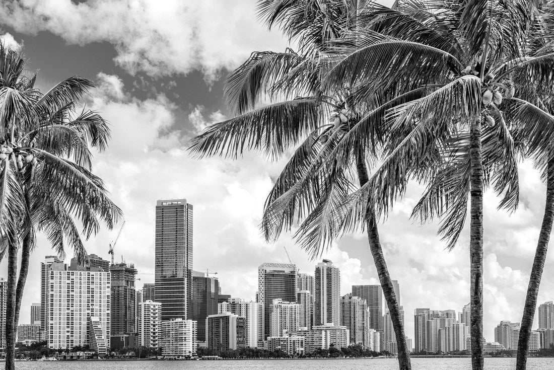 Miami, Florida, USA tropical downtown skyline 2000pc PuzzleBlack and White