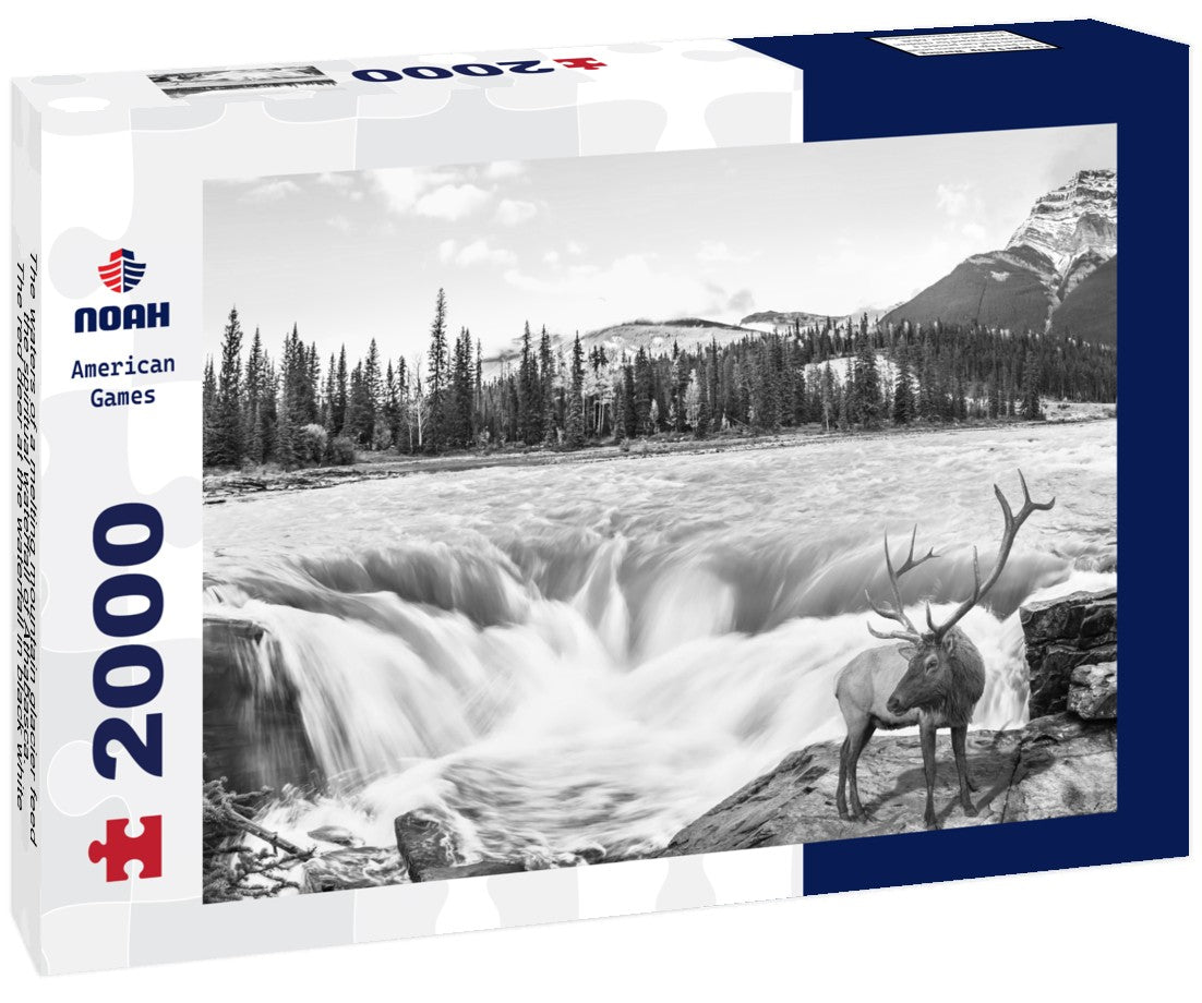 Noah Jigsaw Puzzle The waters of a melting mountain glacier feed the spiritual waterfall of Athabasca. The red deer at the waterfall in black white 2000 pieces