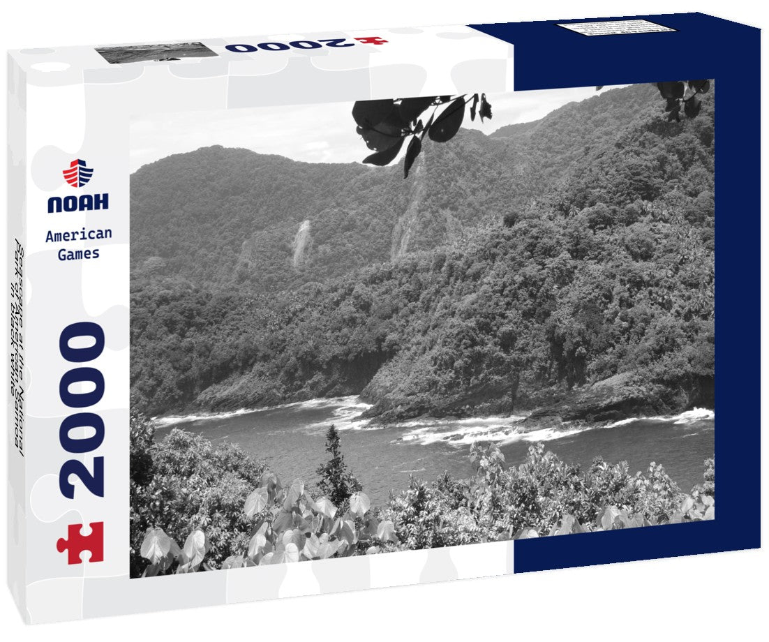 Noah Jigsaw Puzzle Seascape at the National Park of American Samoa in black white 2000 pieces