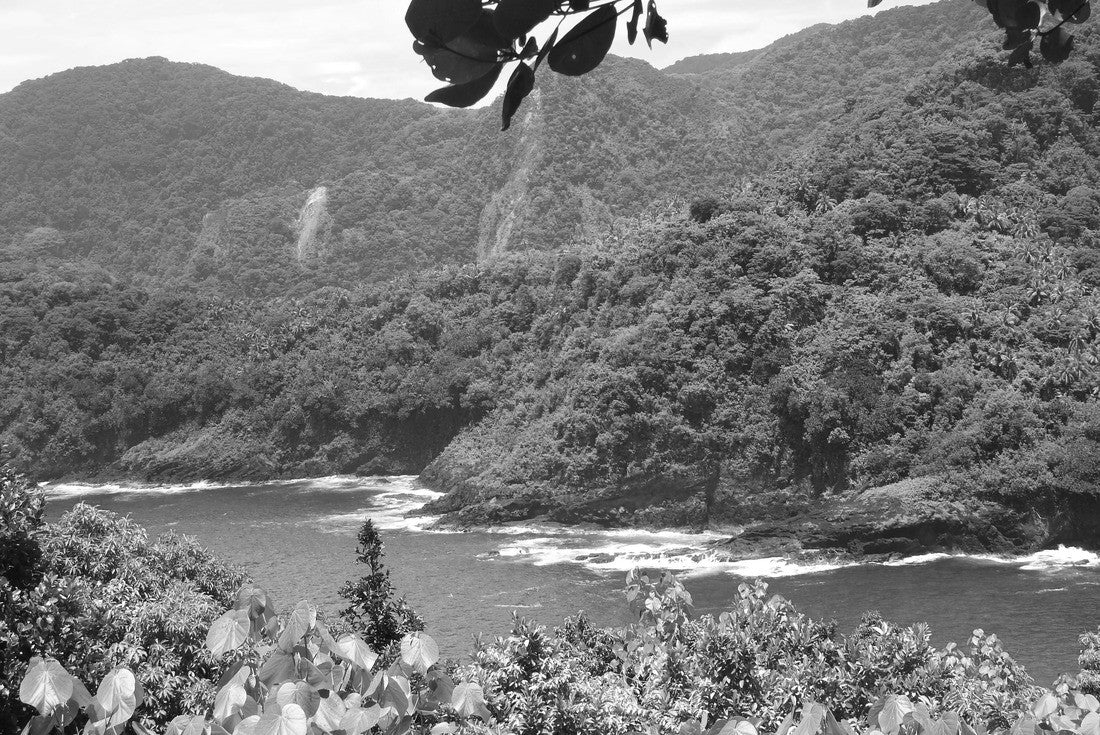 Noah Jigsaw Puzzle Seascape at the National Park of American Samoa in black white 2000 pieces