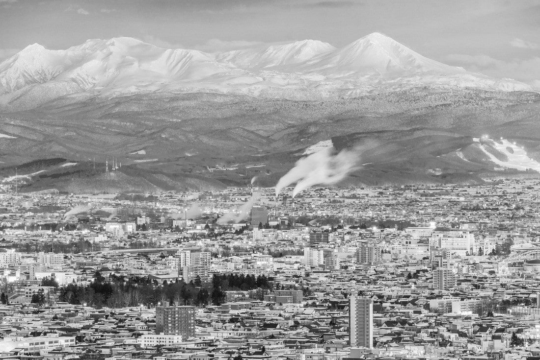 Asahikawa, Japan Winter city in Hokkaido 2000pc PuzzleBlack and White
