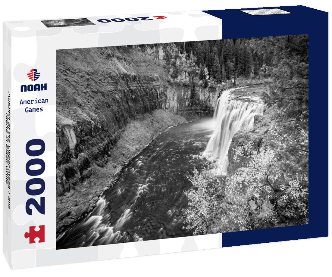 Autumn at the Upper Mesa Falls Idaho 2000pc PuzzleBlack and White