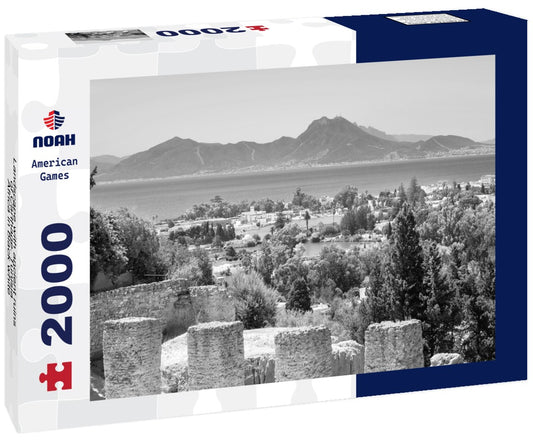 Noah Jigsaw Puzzle Landscape with ancient ruins of Carthage. Tunisia, Africa in black white 2000 pieces