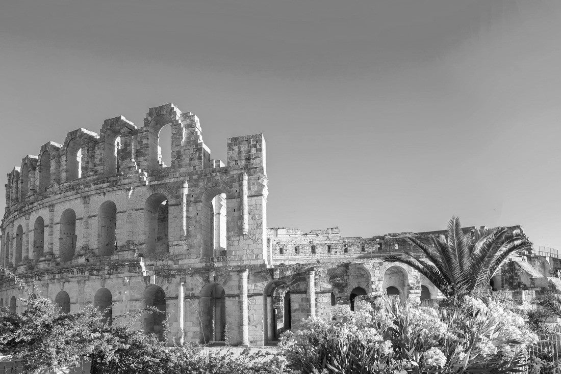 Noah Jigsaw Puzzle Panoramic view of the ancient Roman amphitheater in El Djem. Governor of Mahdia, Tunisia, North Africa in black white 2000 pieces