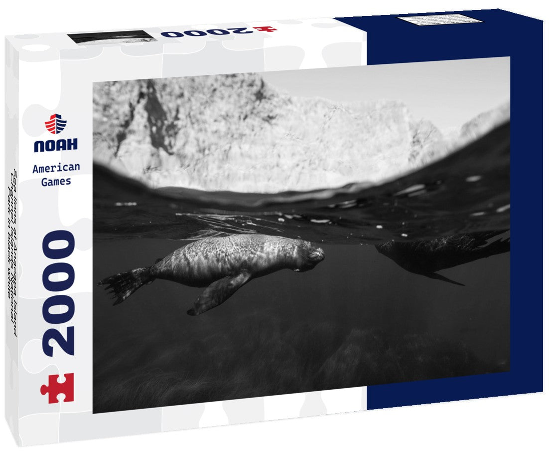 Noah Jigsaw Puzzle Sea lions at Anacapa Island, Channel Islands National Park in black white 2000 pieces