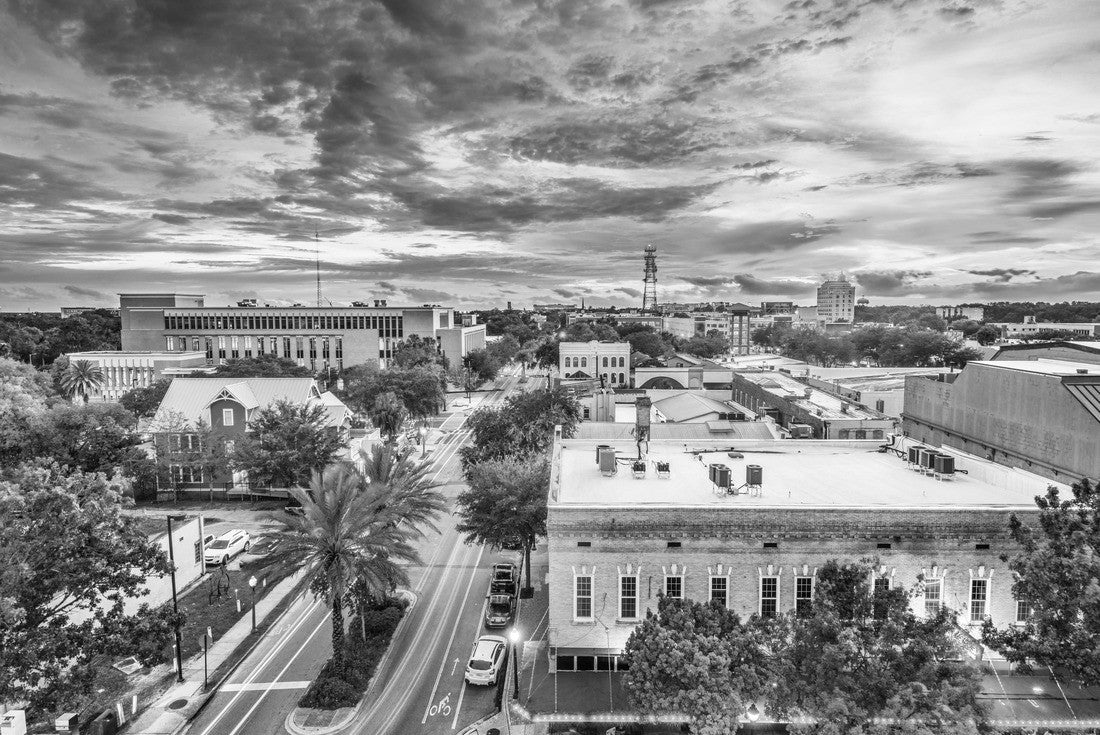 Gainesville, Florida, USA downtown cityscape 2000pc PuzzleBlack and White