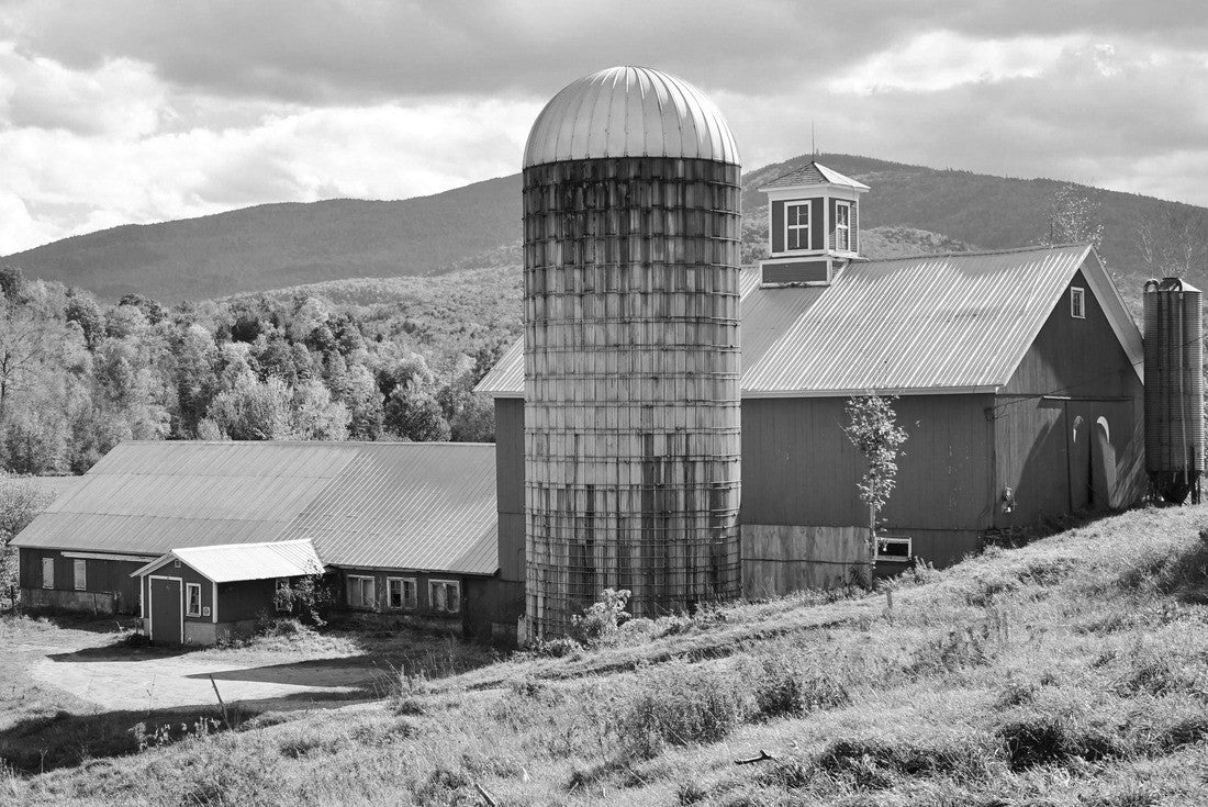 Red barn and silo with a sloping hill and green grass in foreground, trees with fall colors and Vermont mountains in the background under a blue and cloudy sky on a nice autumn day 2000pc PuzzleBlack and White