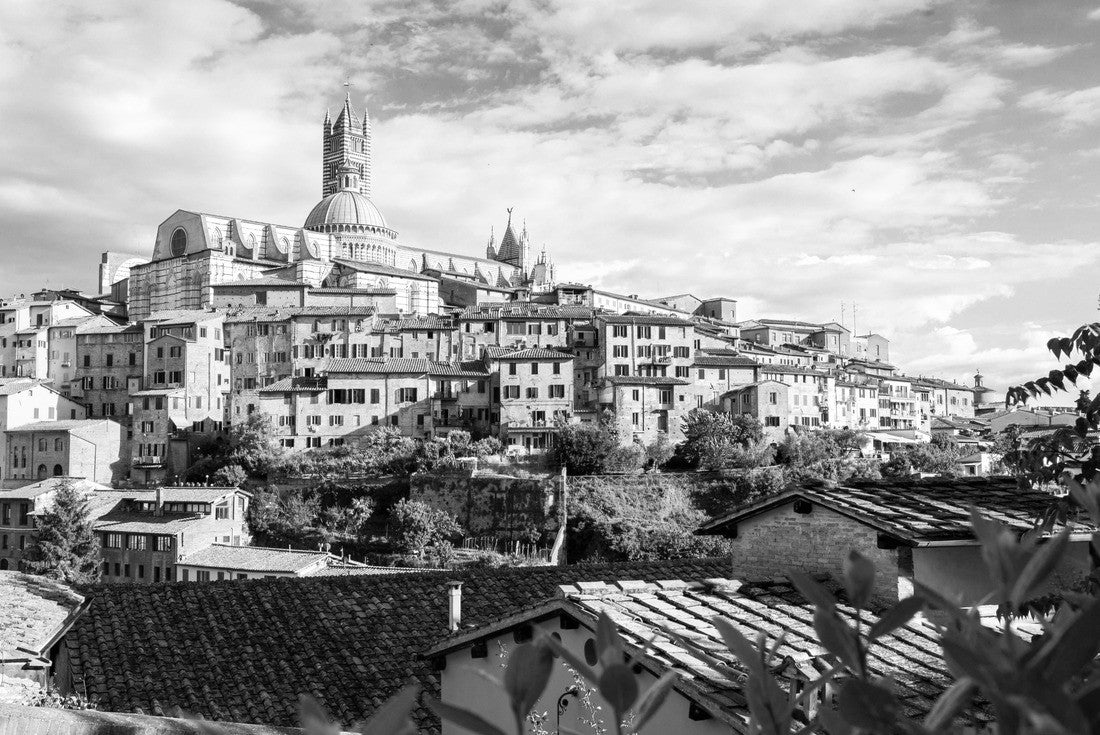 Aerial view with Duomo di Siena - Siena Catherdal, Tuscany, Italy 2000pc PuzzleBlack and White