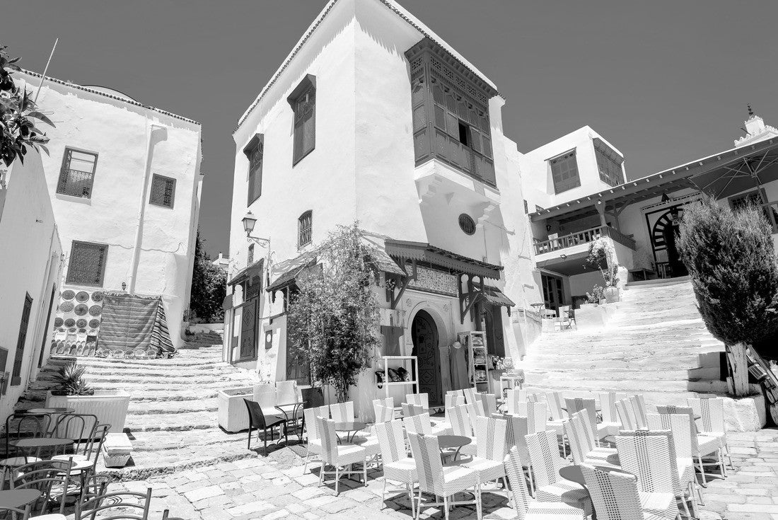 Noah Jigsaw Puzzle Townscape with typical white, blue houses in the village of Sidi Bou Said. Tunisia in black white 2000 pieces