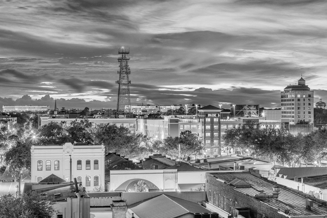 Gainesville, Florida, USA Downtown Skyline 2000pc PuzzleBlack and White