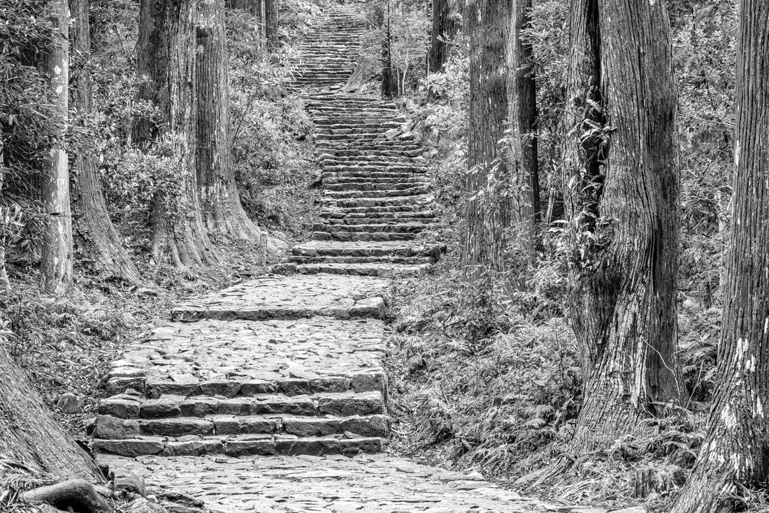 The Kumano Kodo trail, a sacred trail in Nachi, Wakayama, Japan 2000pc PuzzleBlack and White