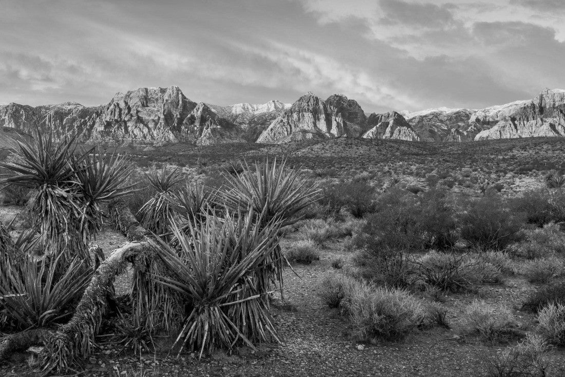 Sunrise at Red Rock Canyon, Nevada 2000pc PuzzleBlack and White