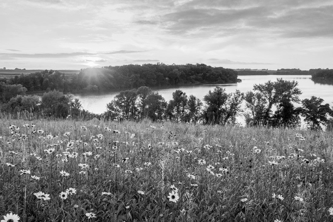 Minnesota summer flowers 2000pc PuzzleBlack and White