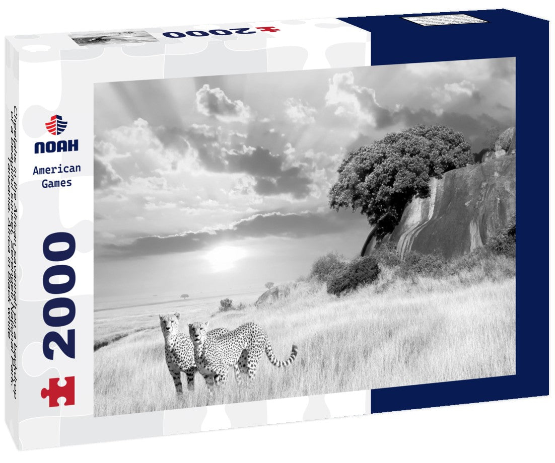 Noah Jigsaw Puzzle Cheetahs in the African savannah on a backdrop of a beautiful sunset. Serengeti National Park. Tanzania. Africa in black white 2000 pieces