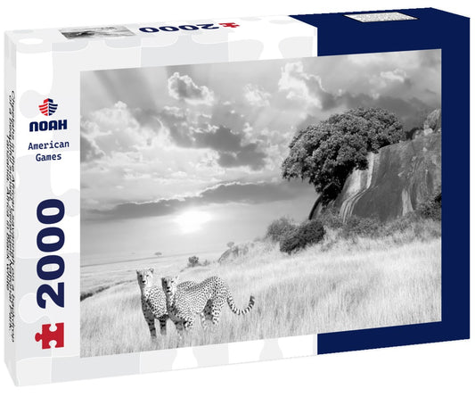 Noah Jigsaw Puzzle Cheetahs in the African savannah on a backdrop of a beautiful sunset. Serengeti National Park. Tanzania. Africa in black white 2000 pieces