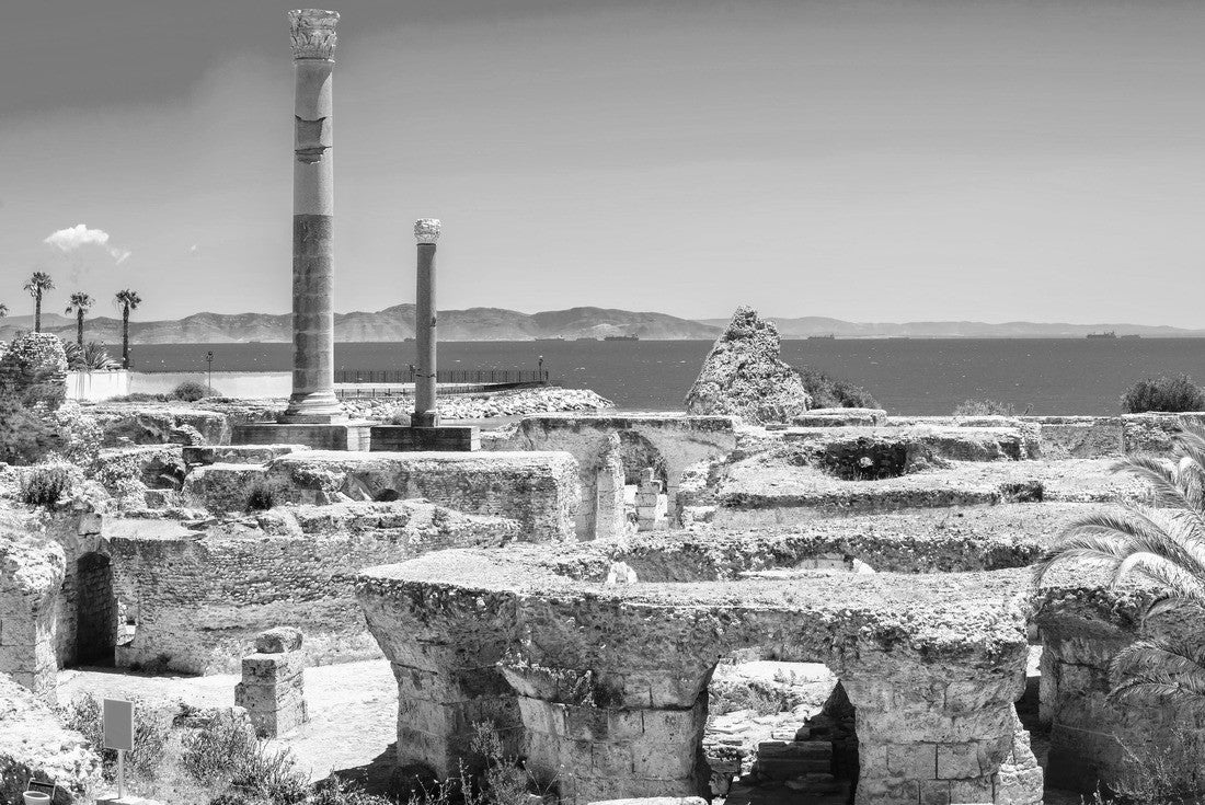 Noah Jigsaw Puzzle Panoramic view of ancient Carthage, Tunisia in black white 2000 pieces
