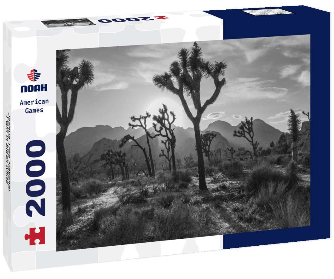 Noah Jigsaw Puzzle Joshua Tree National Park in black white 2000 pieces