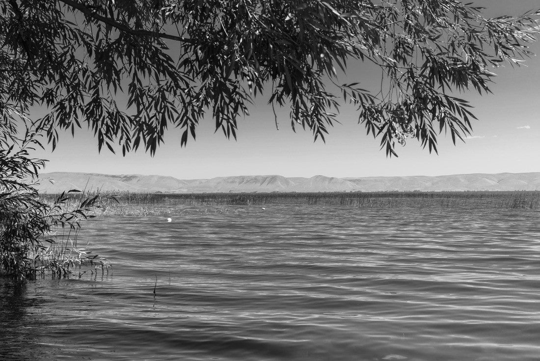 Noah Jigsaw Puzzle Bear Lake County, Idaho, United States. The Bear Lake near Fish Haven in black white 2000 pieces