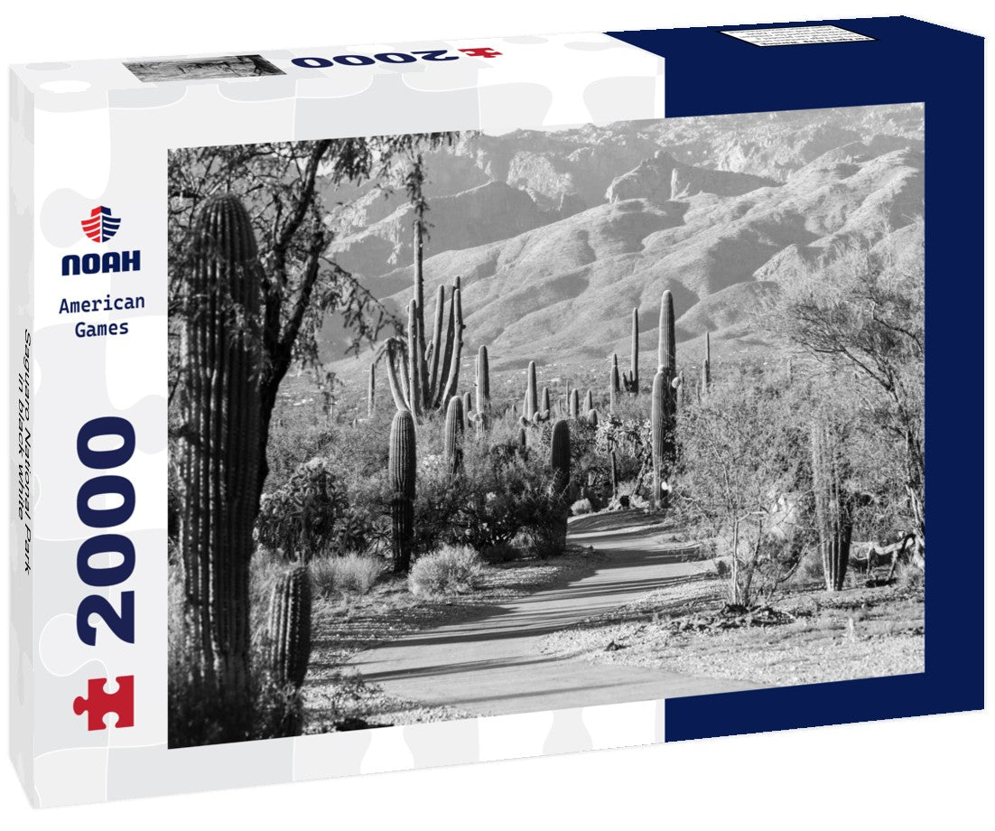 Noah Jigsaw Puzzle Saguaro National Park in black white 2000 pieces