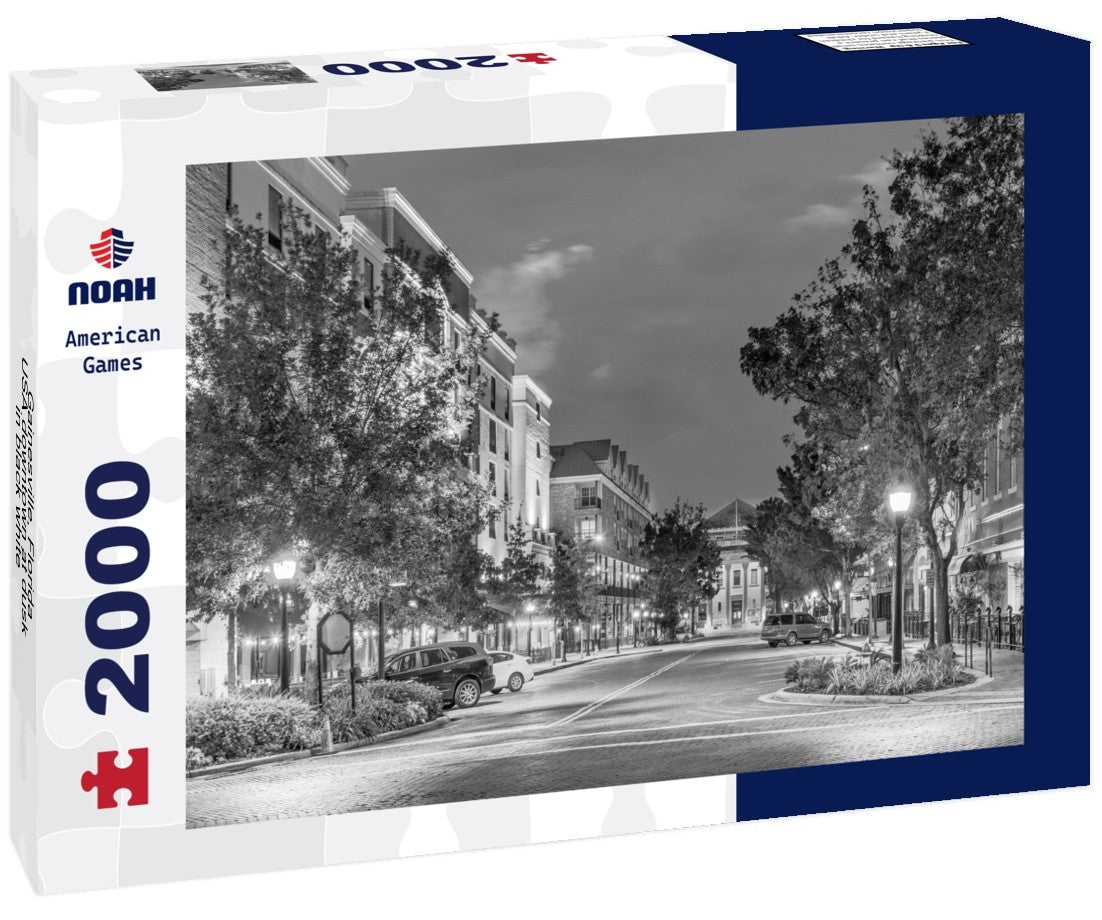 Gainesville, Florida, USA downtown at dusk 2000pc PuzzleBlack and White