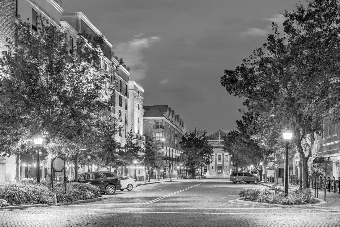 Gainesville, Florida, USA downtown at dusk 2000pc PuzzleBlack and White