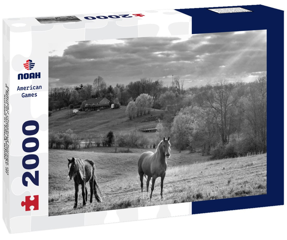 Beautiful chestnut horses on a farm in central Kentucky at sunset 2000pc PuzzleBlack and White