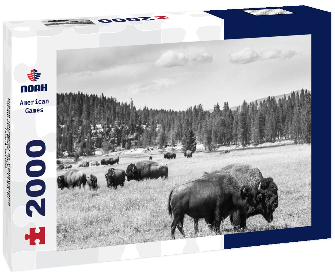 Noah Jigsaw Puzzle Bison (buffalo) at Yellowstone National Park, WY, USA in black white 2000 pieces