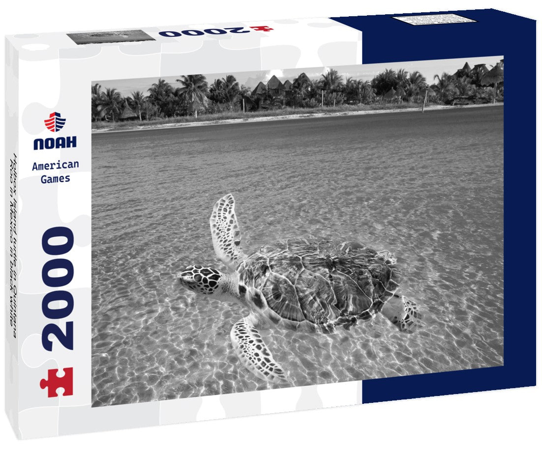 Holbox Island turtle in Quintana Roo in Mexico 2000pc PuzzleBlack and White