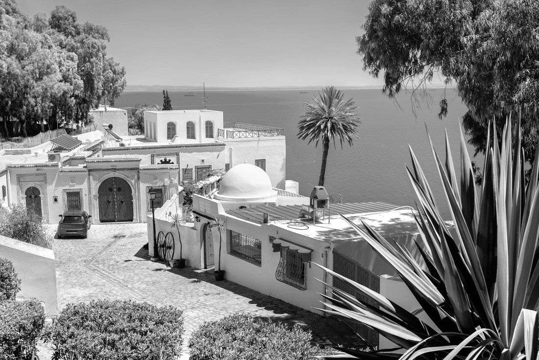 Noah Jigsaw Puzzle View of the seaside resort of Sidi Bou Said. Tunisia, North Africa in black white 2000 pieces