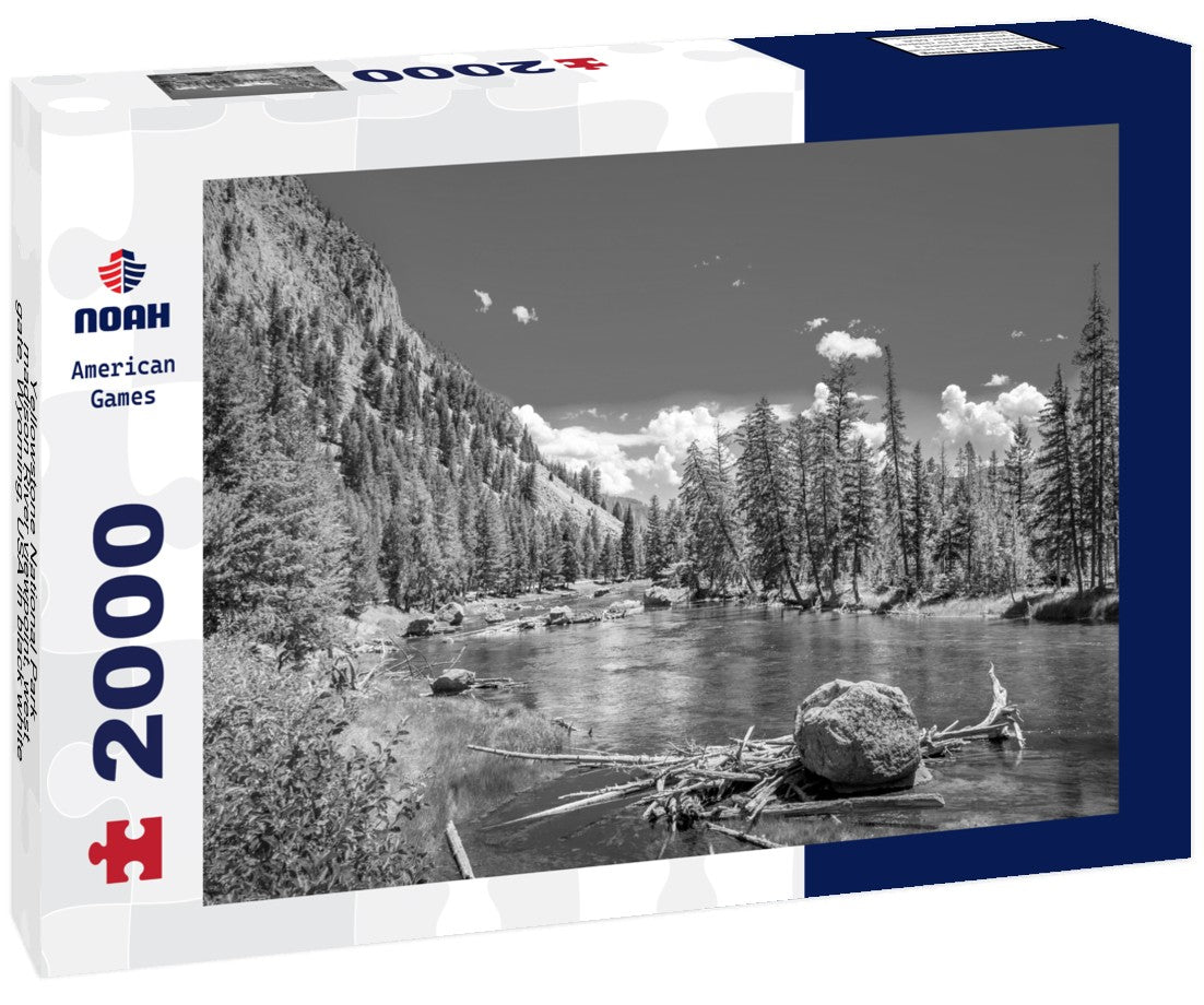 Noah Jigsaw Puzzle Yellowstone National Park - madison River viewpoint, west gate, Wyoming, USA in black white 2000 pieces