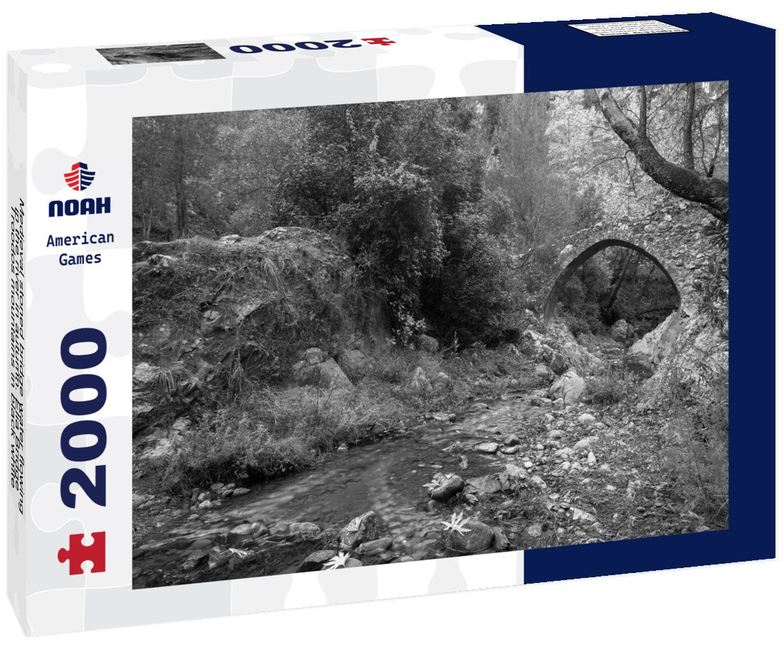 Medieval stoned bridge water flowing in the river in autumn. Elia Bridge Troodos mountains 2000pc PuzzleBlack and White