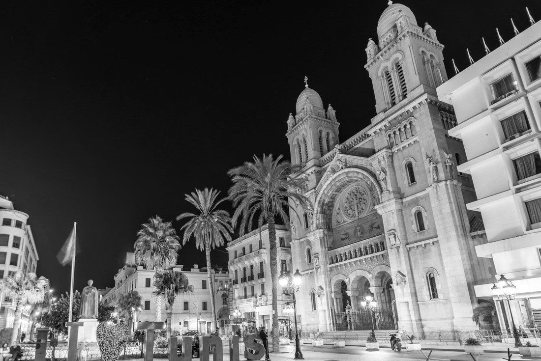 Noah Jigsaw Puzzle Cathedral of St. Vincent de Paul in Tunis, capital of Tunisia in black white 2000 pieces