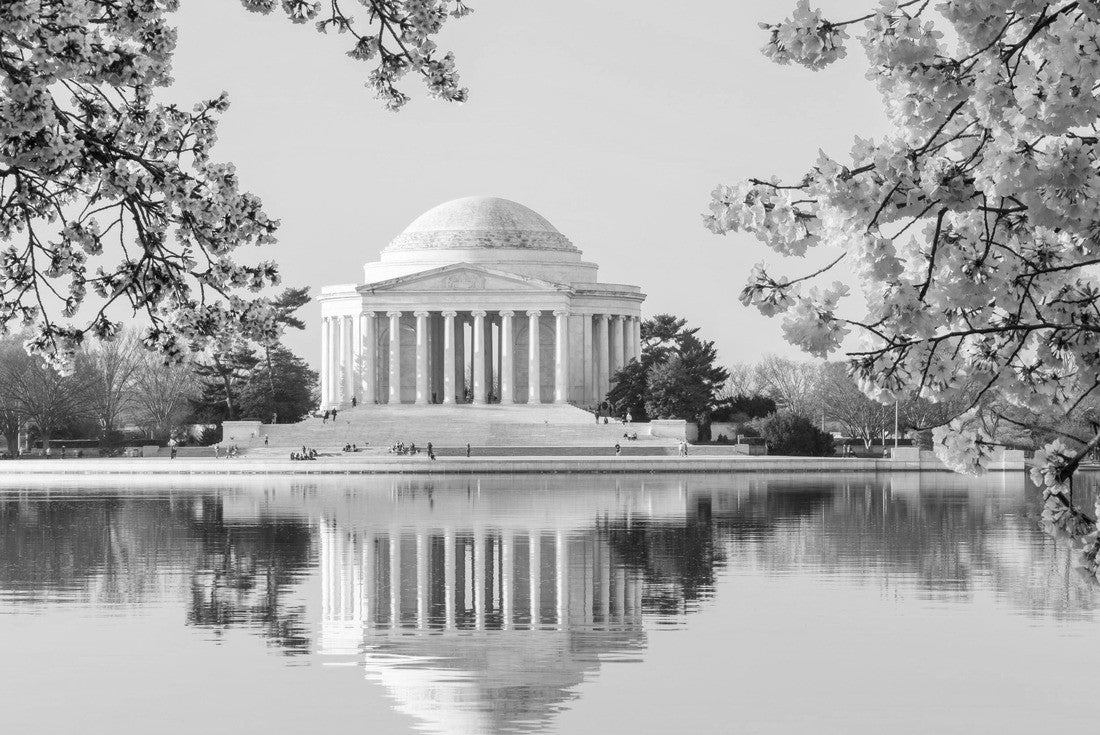Sun rising illuminates the Jefferson Memorial and Tidal Basin. The bright pink cherry blossoms frame the monument in Washington DC during the annual cherry blossom festival 2000pc PuzzleBlack and White