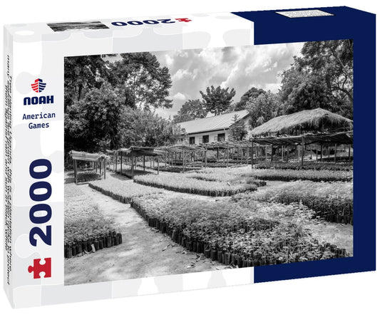 Noah Jigsaw Puzzle Tree planting Uganda, this is a plantation where many seedlings are grown with wooden racks to protect them against rain and sun in black white 2000 pieces