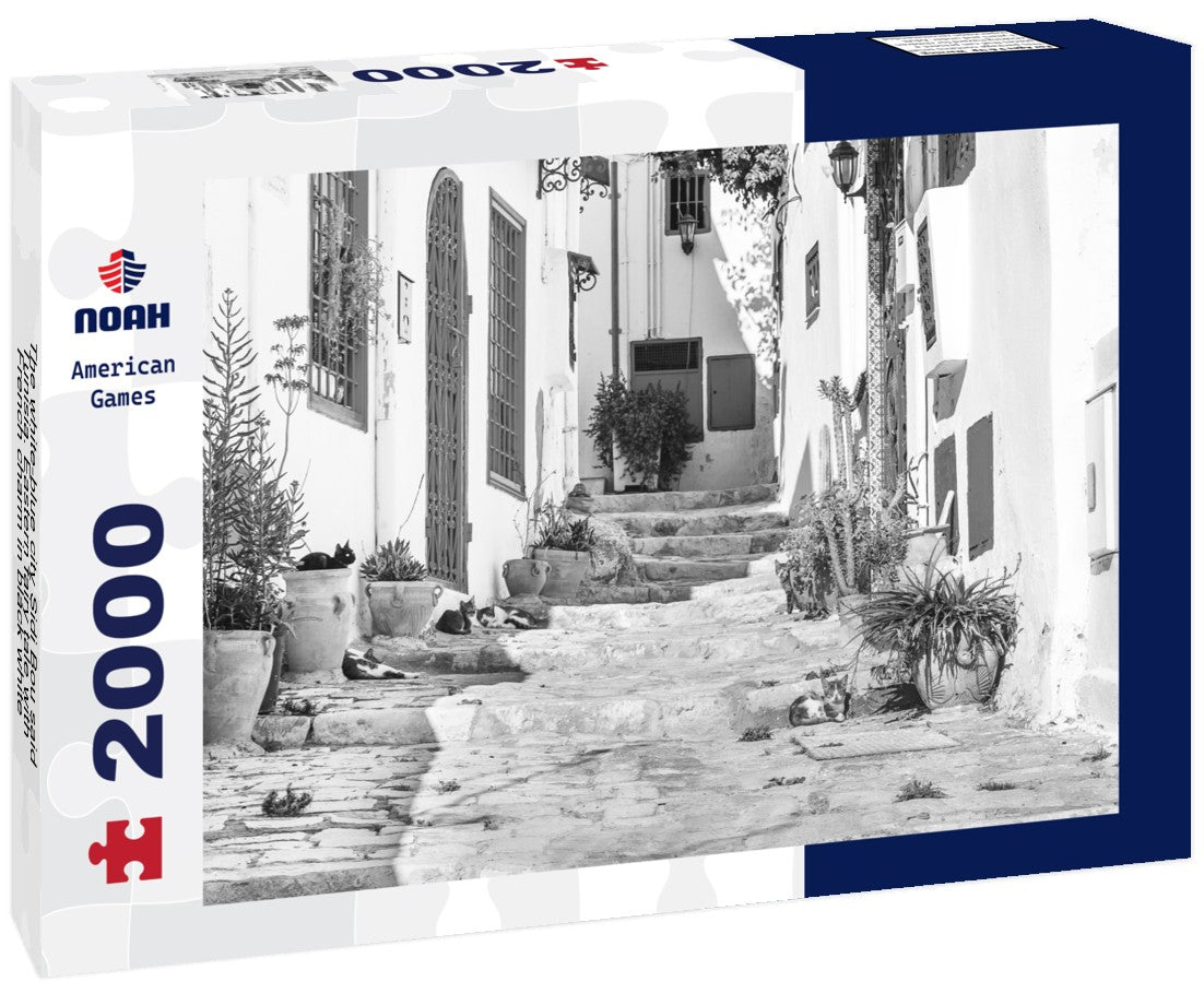 Noah Jigsaw Puzzle The white-blue city Sidi Bou said, Tunisia. Eastern fairy tale with French charm in black white 2000 pieces