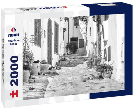Noah Jigsaw Puzzle The white-blue city Sidi Bou said, Tunisia. Eastern fairy tale with French charm in black white 2000 pieces